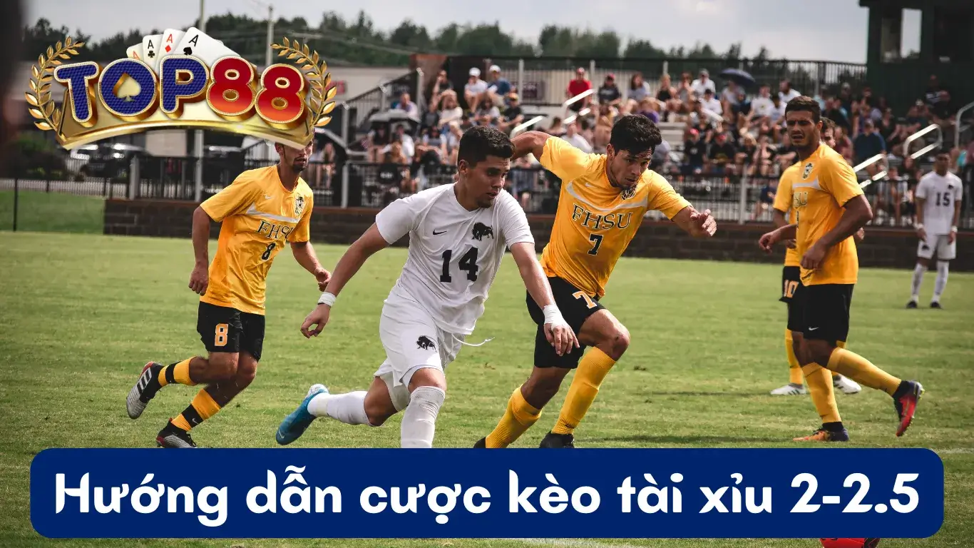 Hướng dẫn cược tài xỉu 2-2.5 trong bóng đá